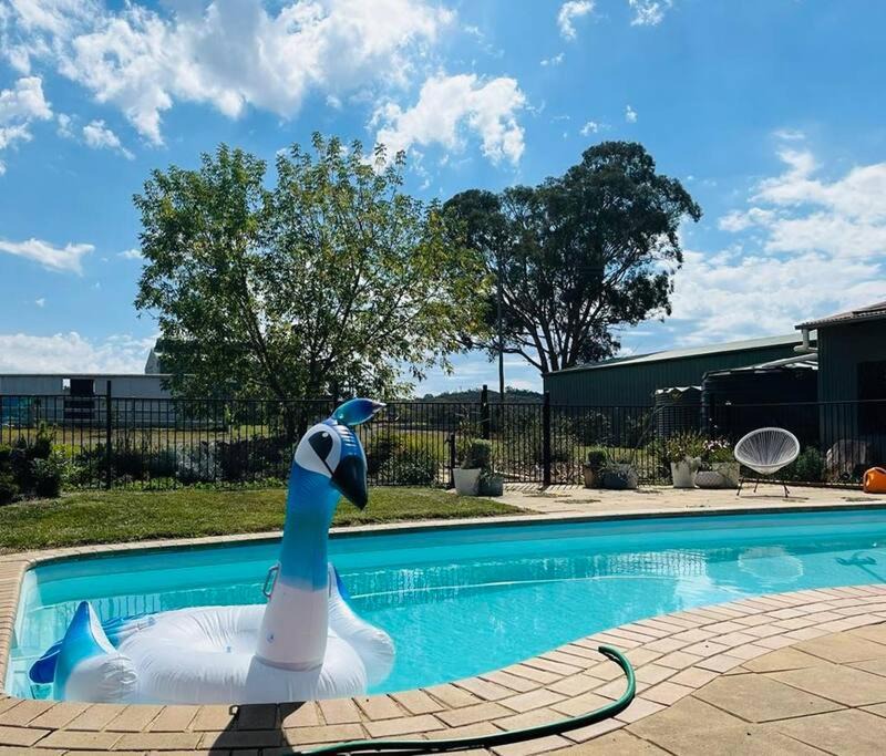 Photo of Others in Gundaroo