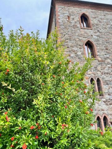 Photo of Others in Grizzana Morandi