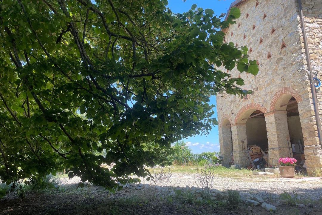Photo of Others in Monzuno