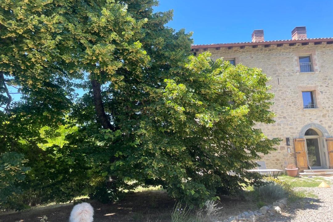 Photo of Others in Monzuno