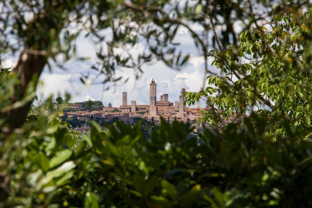 Photo of Others in San Gimignano