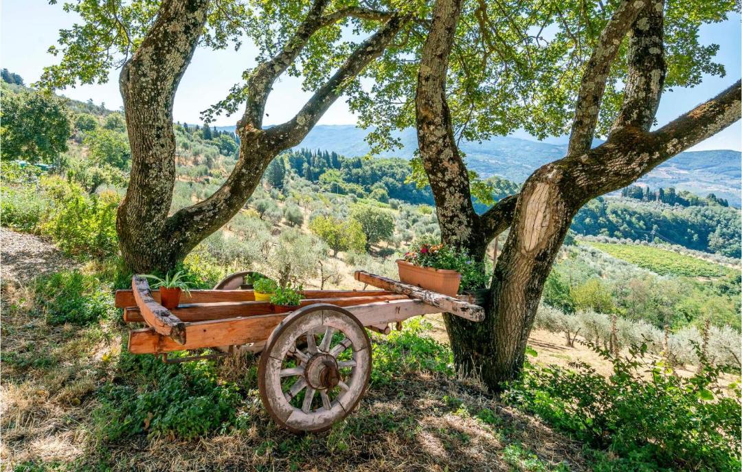Photo of Others in Montebonello