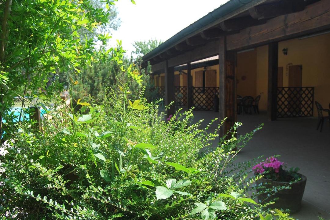 Photo of Others in Castiglione di Cervia