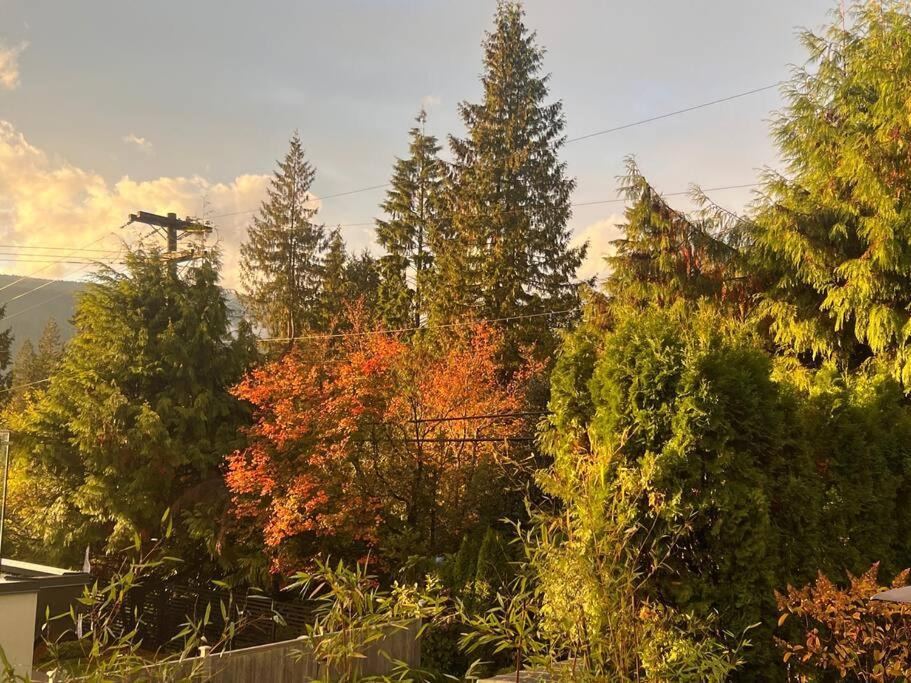 Photo of Others in Canyon Heights
