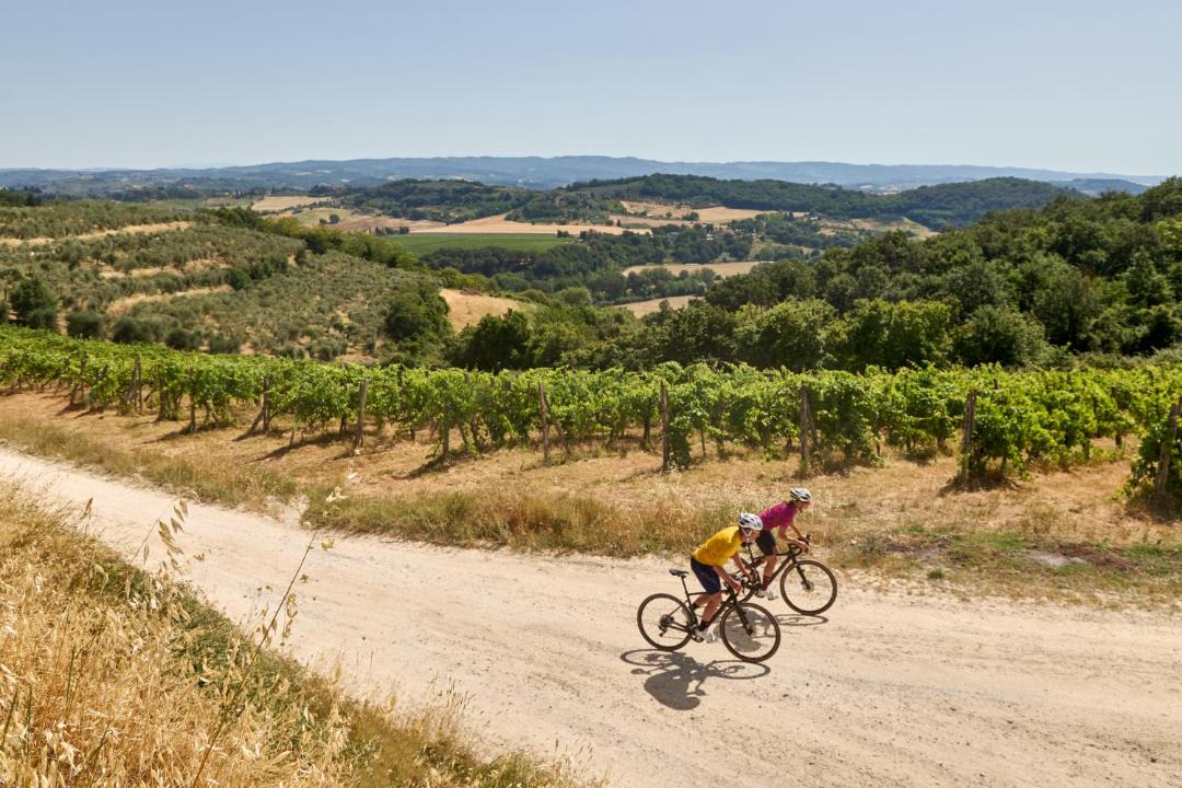Photo of Others in San Gimignano