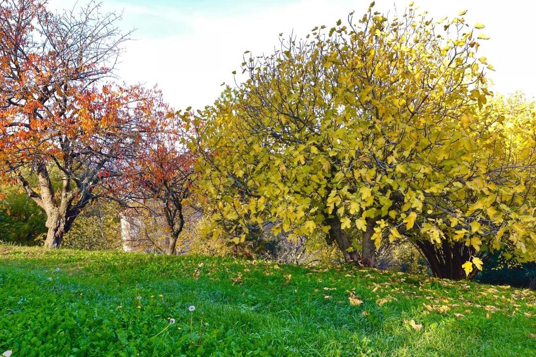 Photo of Others in Grizzana Morandi