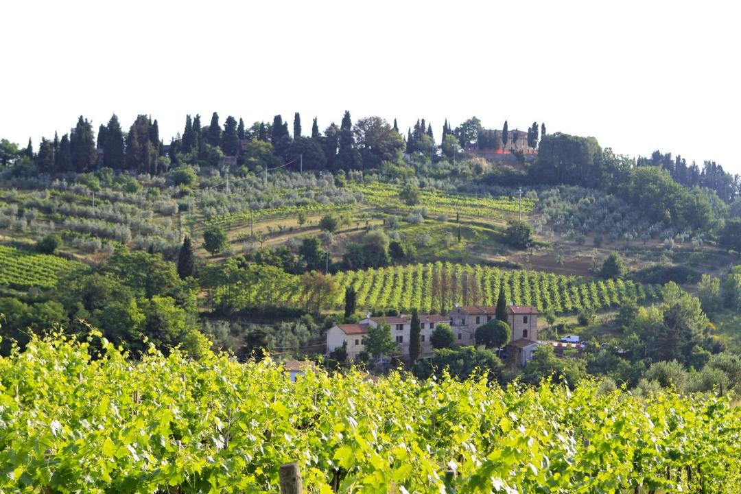 Photo of Others in San Gimignano