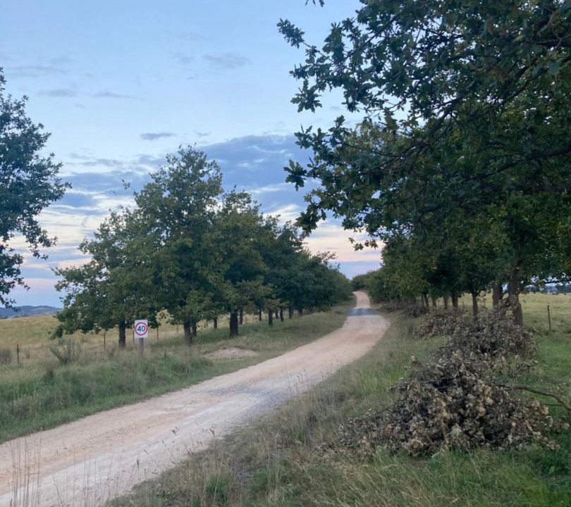 Photo of Others in Mount Fairy