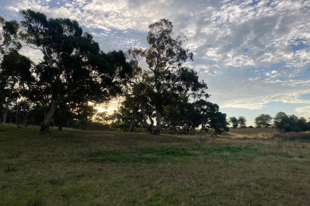 Photo of Others in Mount Fairy