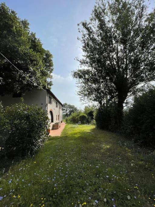 Photo of Others in Pontedera