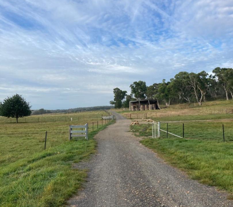 Photo of Others in Mount Fairy