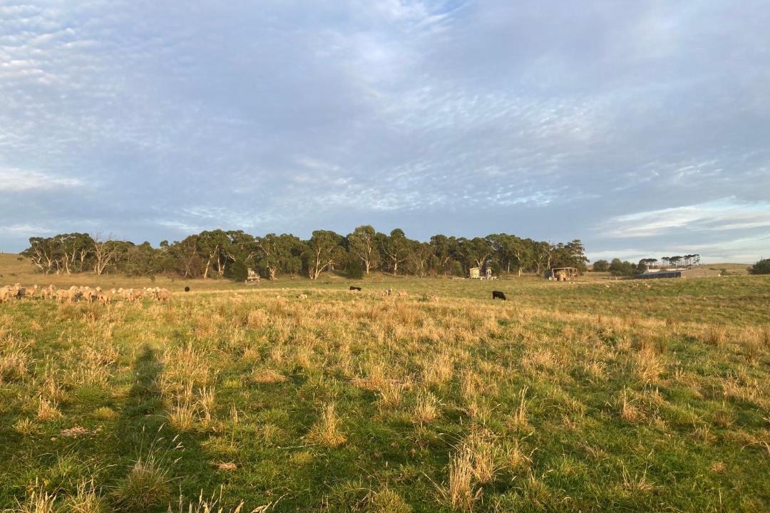 Photo of Others in Mount Fairy