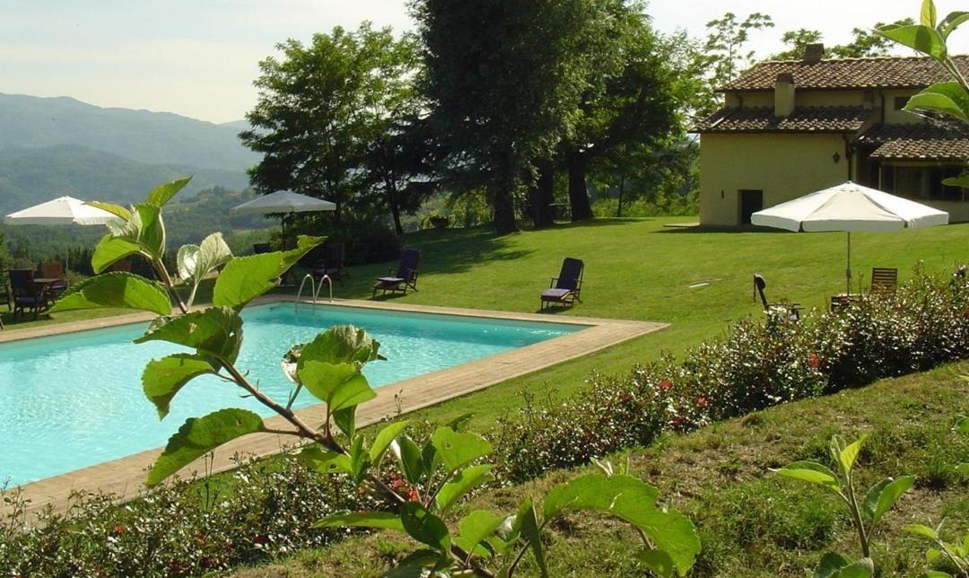Photo of Others in Vicchio
