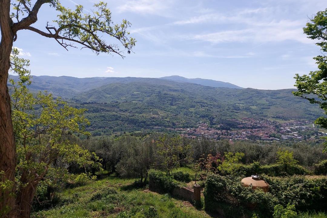 Photo of Others in Montebonello