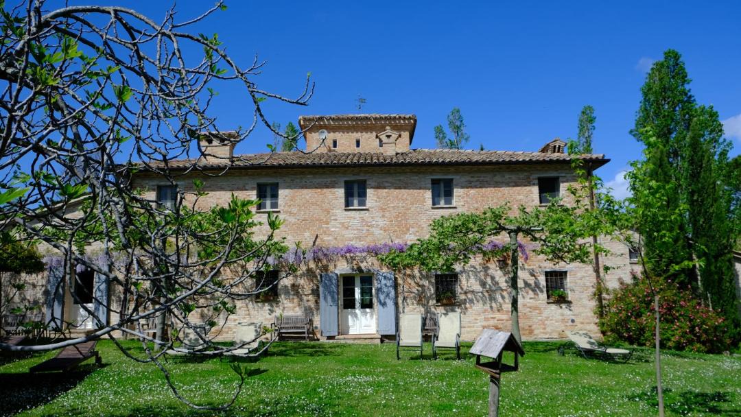 Photo of Others in Urbino