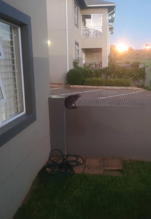 Photo of Others in Krugersdorp