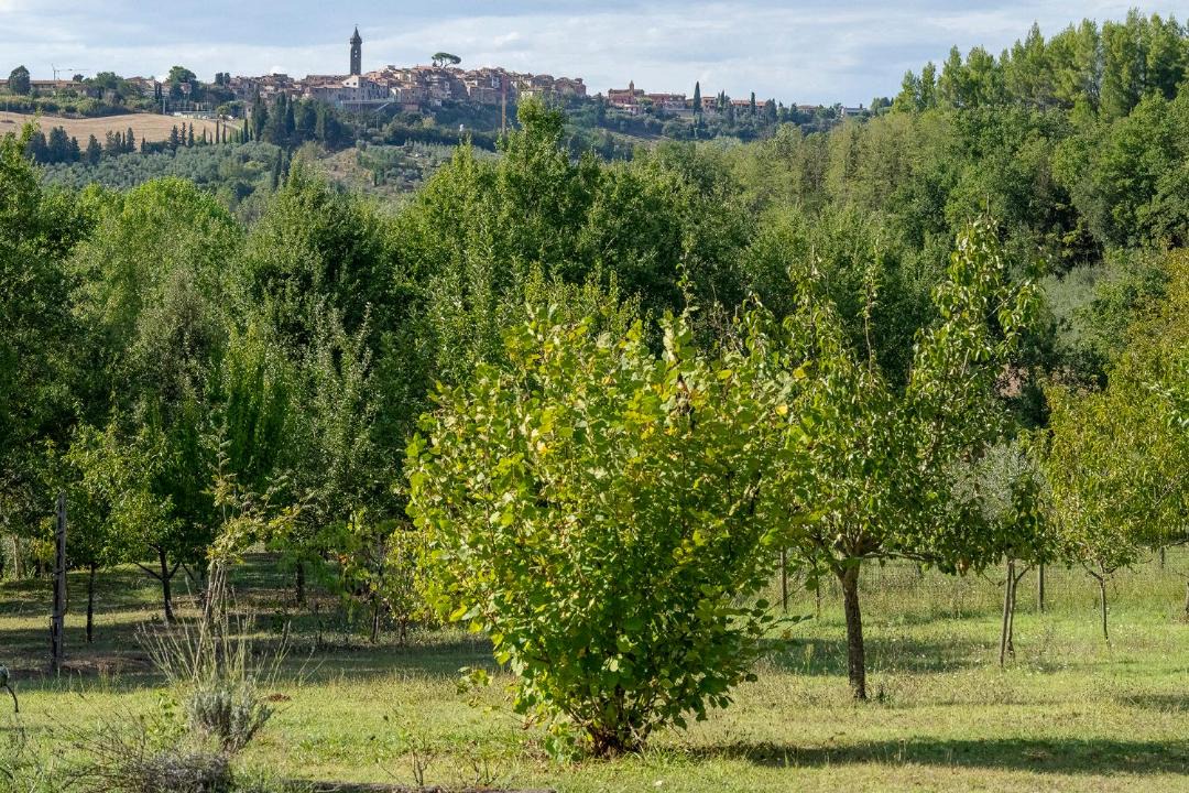 Photo of Others in Peccioli