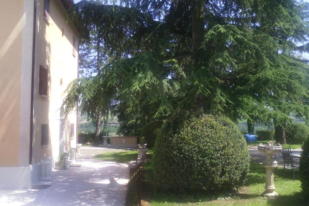 Photo of Others in Imola