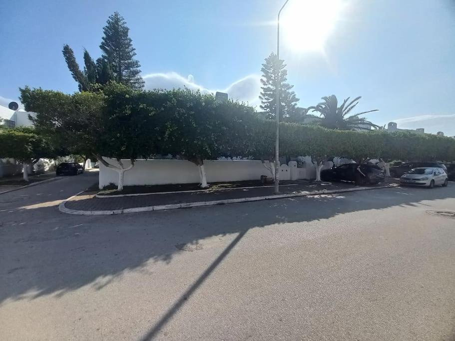 Photo of Others in Hammamet