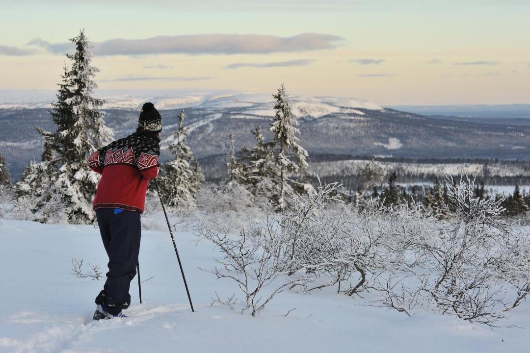 Photo of Others in Ljordal