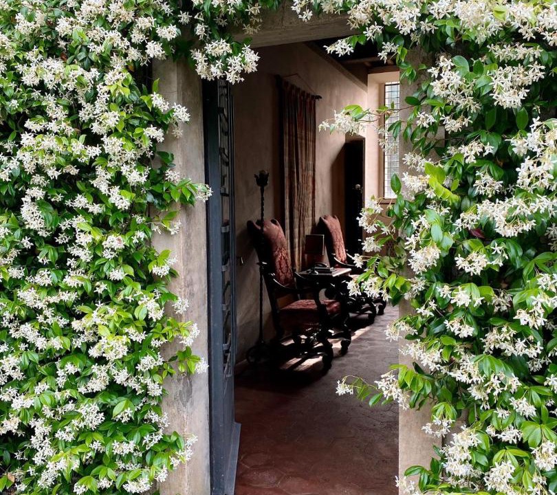 Photo of Others in Gaiole in Chianti
