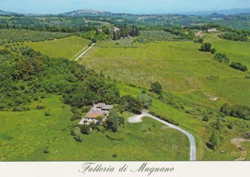 Photo of Outdoor in Colle di Val d'Elsa