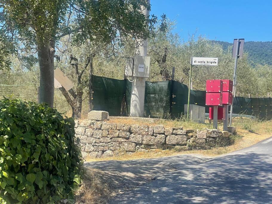 Photo of Others in Pontassieve