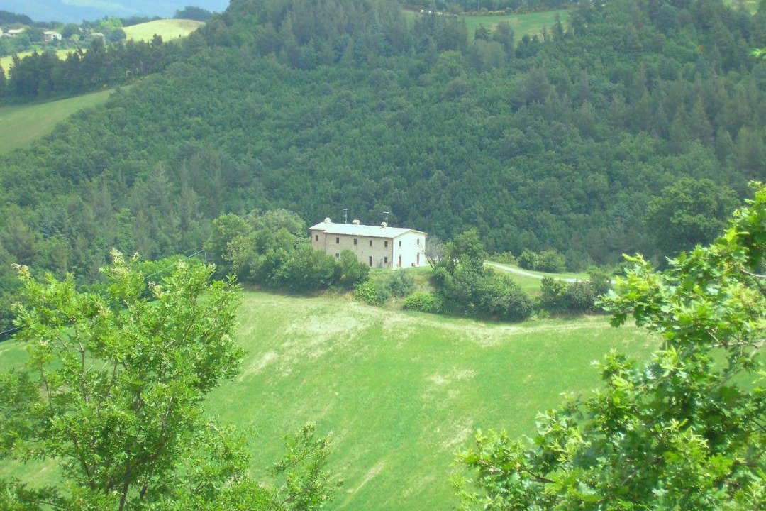 Photo of Others in Urbino