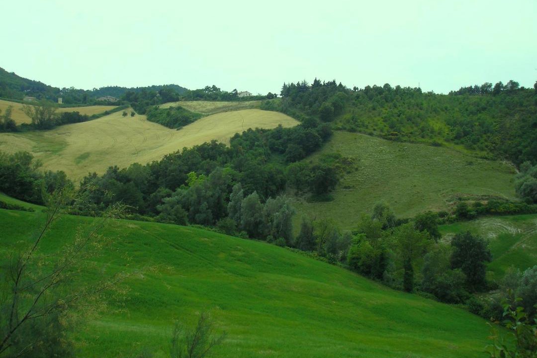Photo of Others in Urbino