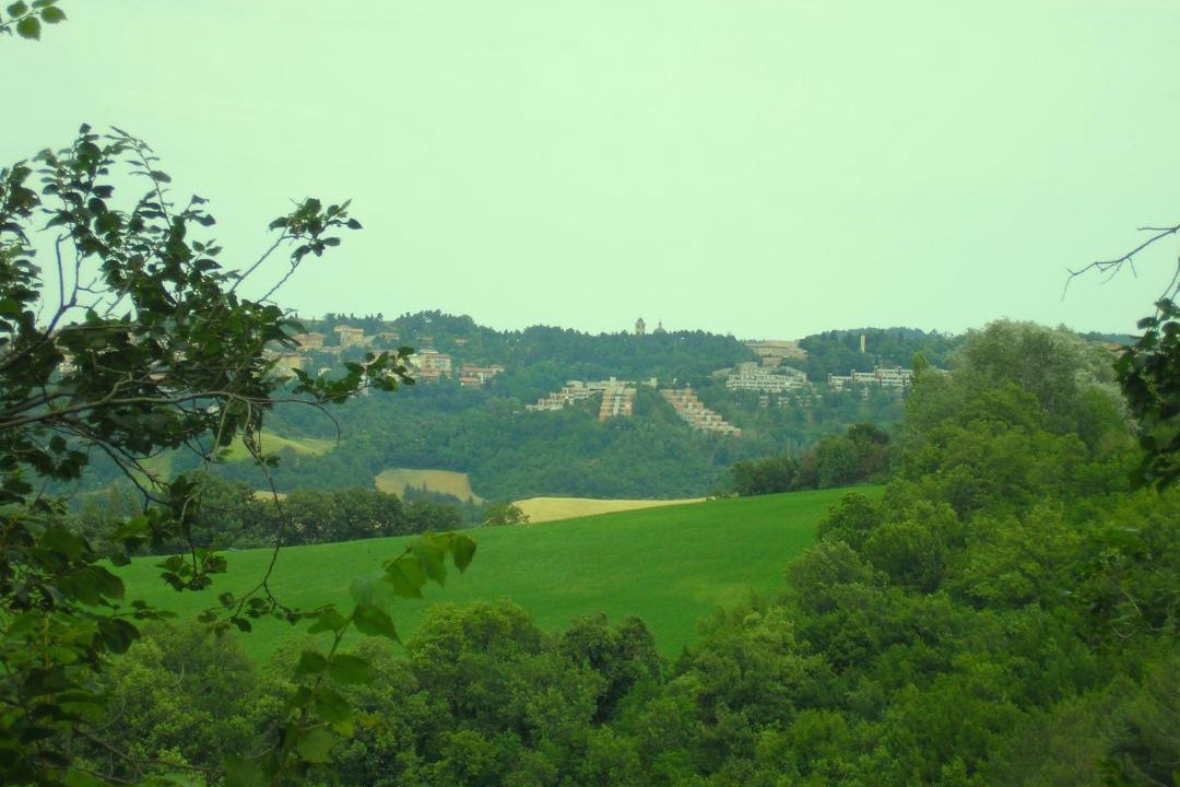 Photo of Others in Urbino