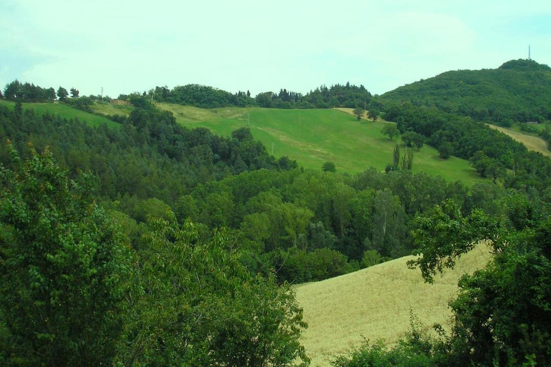 Photo of Others in Urbino