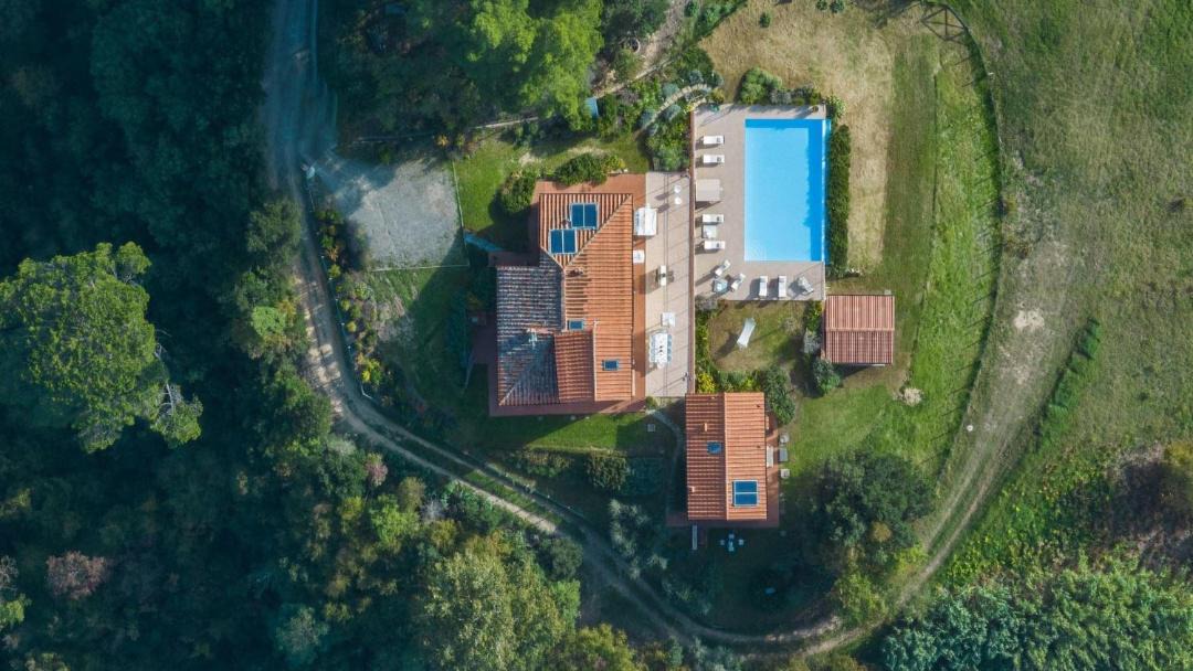 Photo of Others in Palaia