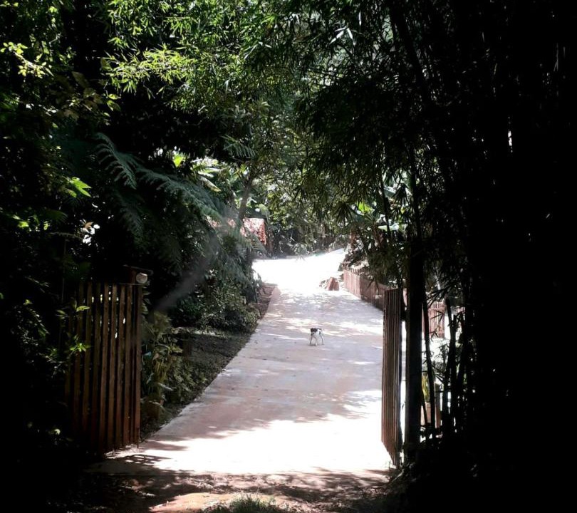 Photo of Others in Sao Pedro da Serra