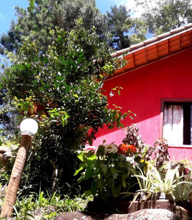 Photo of Others in Sao Pedro da Serra