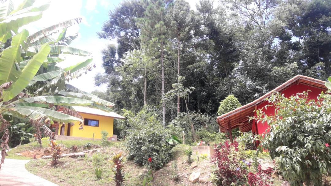 Photo of Others in Sao Pedro da Serra