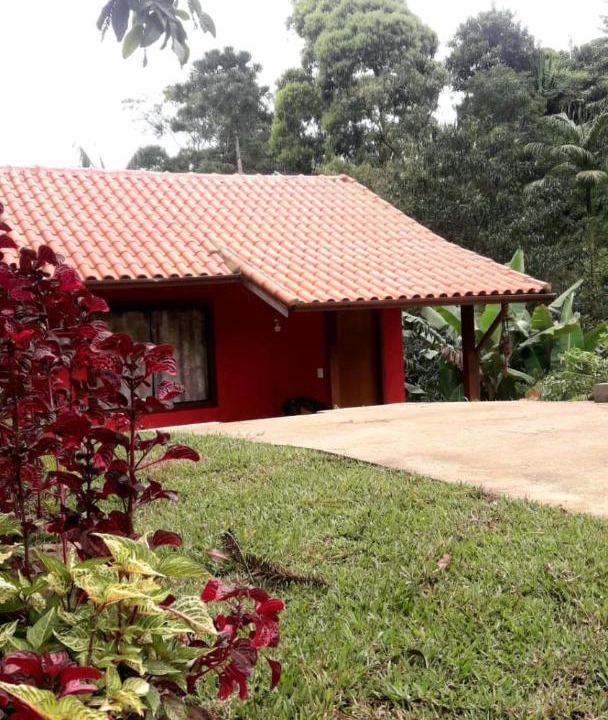 Photo of Others in Sao Pedro da Serra