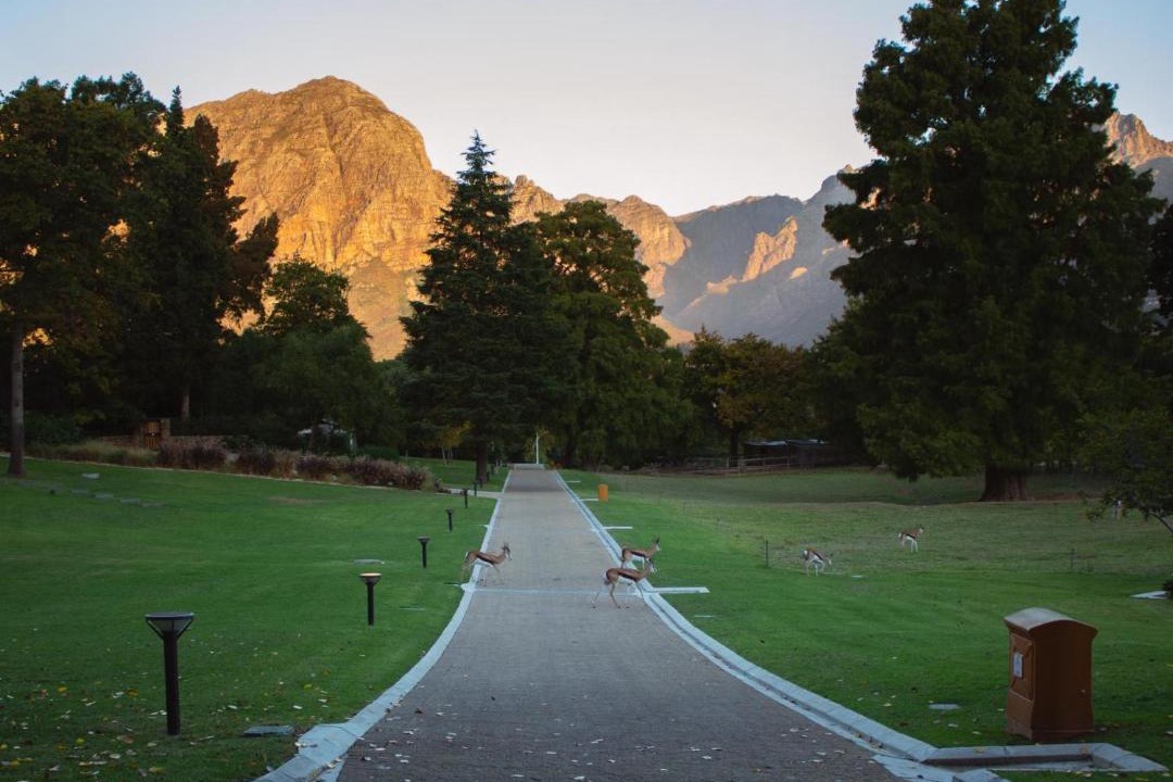 Photo of Others in Cape Winelands