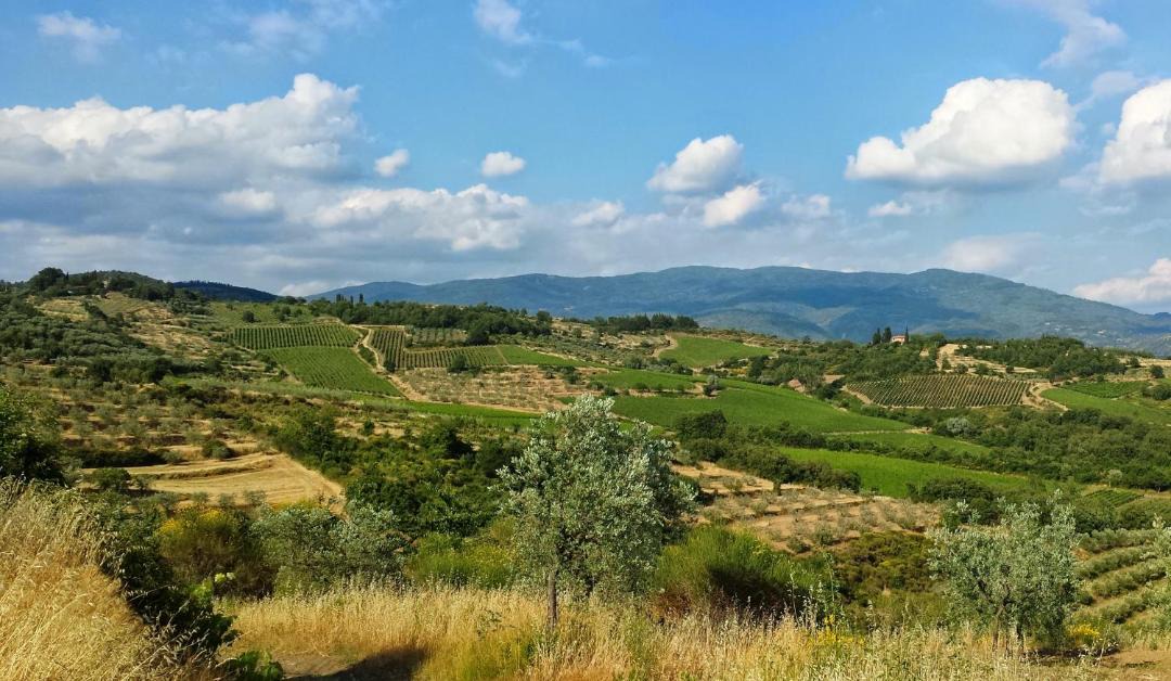 Photo of Others in Capolona