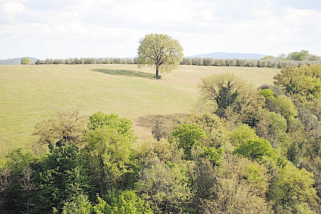 Photo of Outdoor in Colle di Val d'Elsa