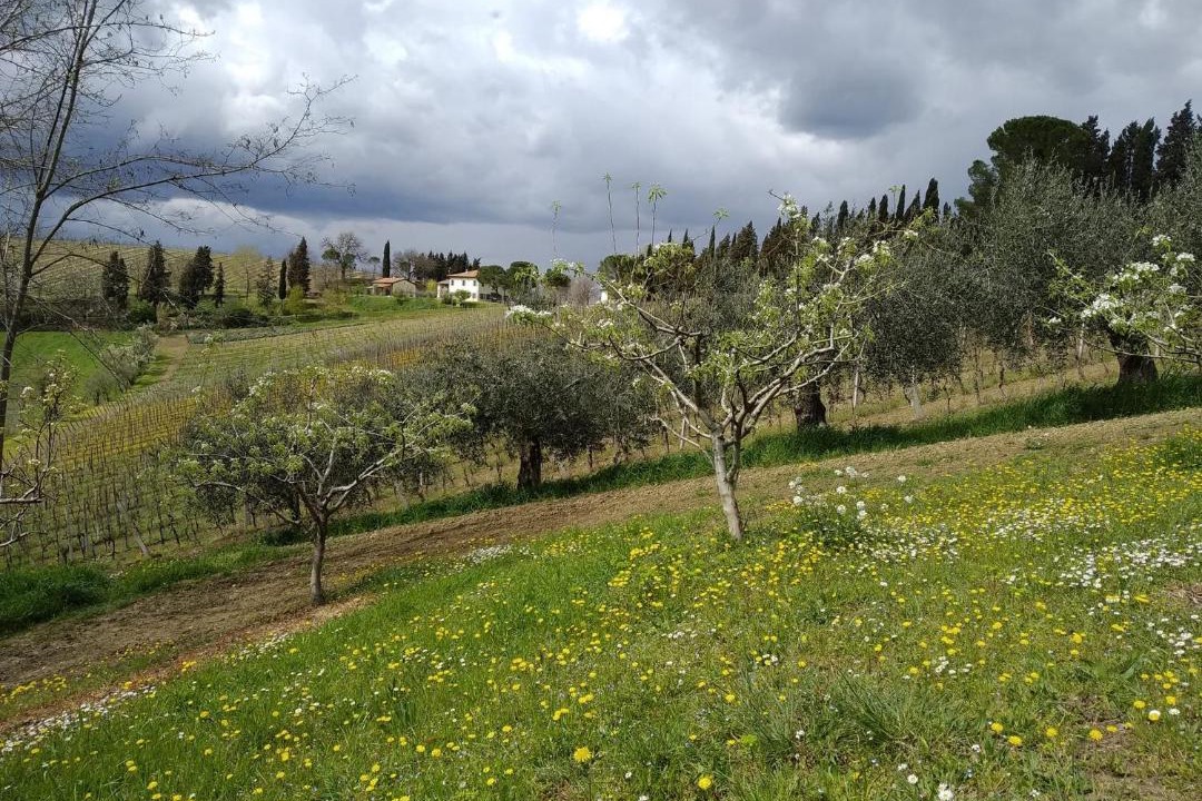 Photo of Others in Oriolo dei Fichi