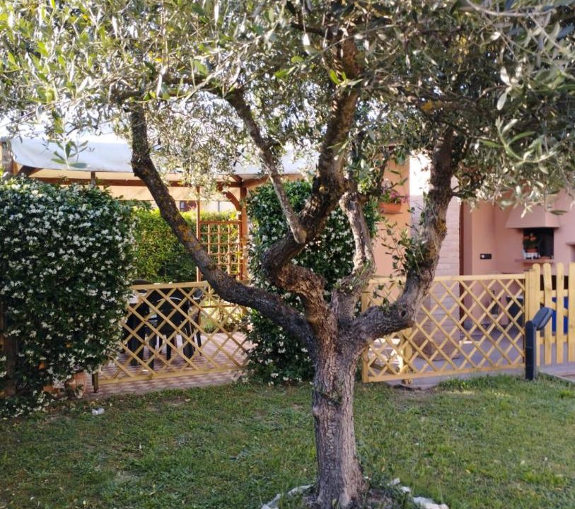 Photo of Others in Montopoli in Val d'Arno