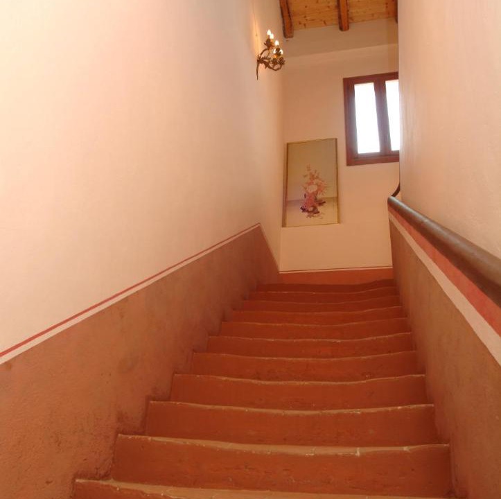 Photo of Others in Castel Maggiore
