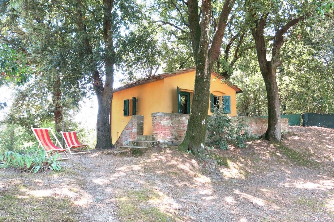 Photo of Others in Palaia