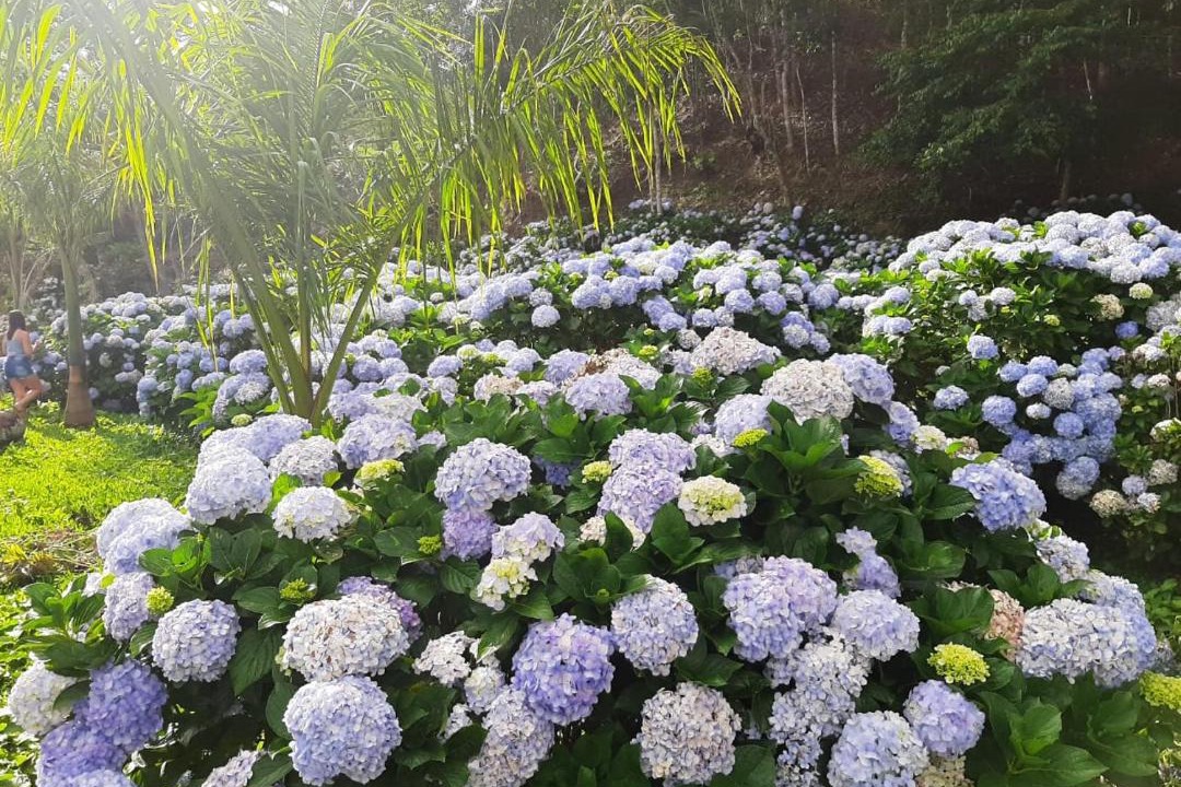 Photo of Outdoor in Nova Friburgo