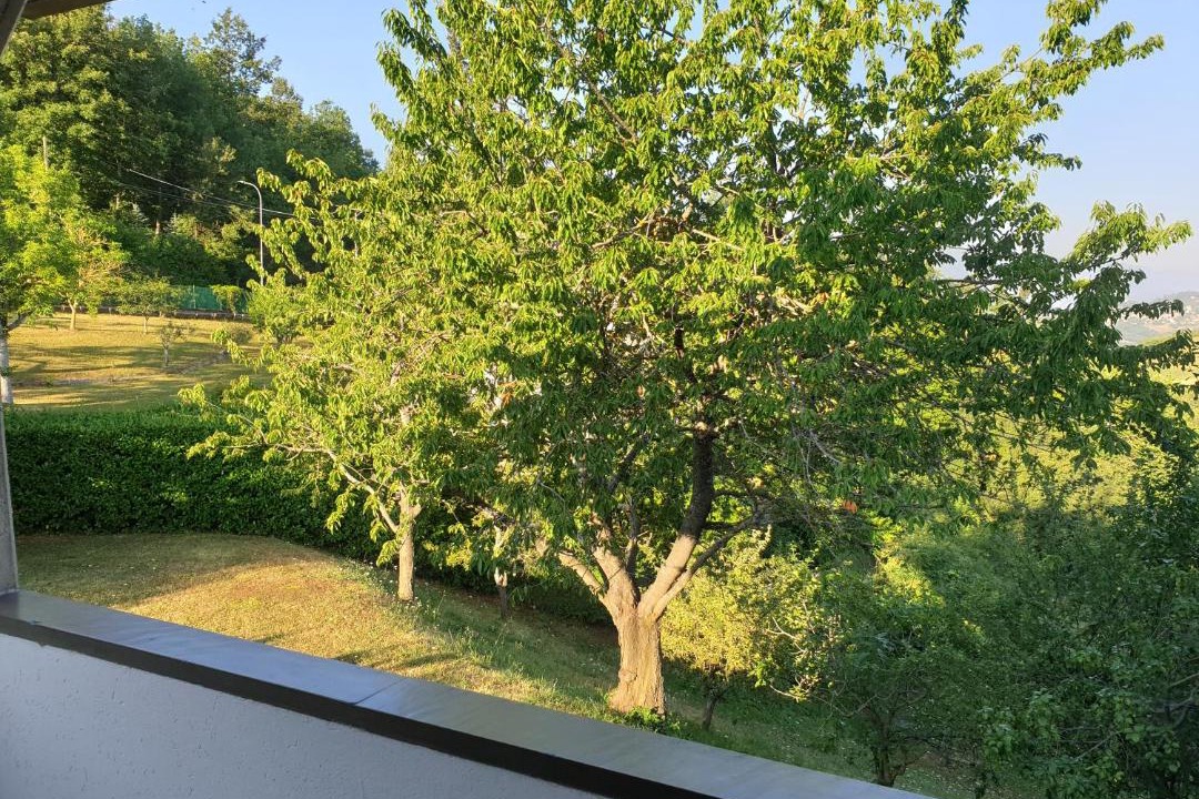 Photo of Outdoor in Castel d'Aiano