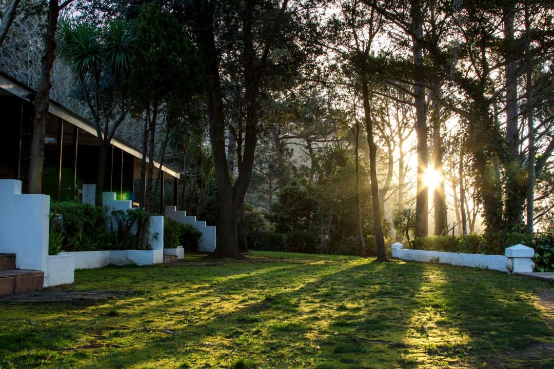 Photo of Others in Constantia