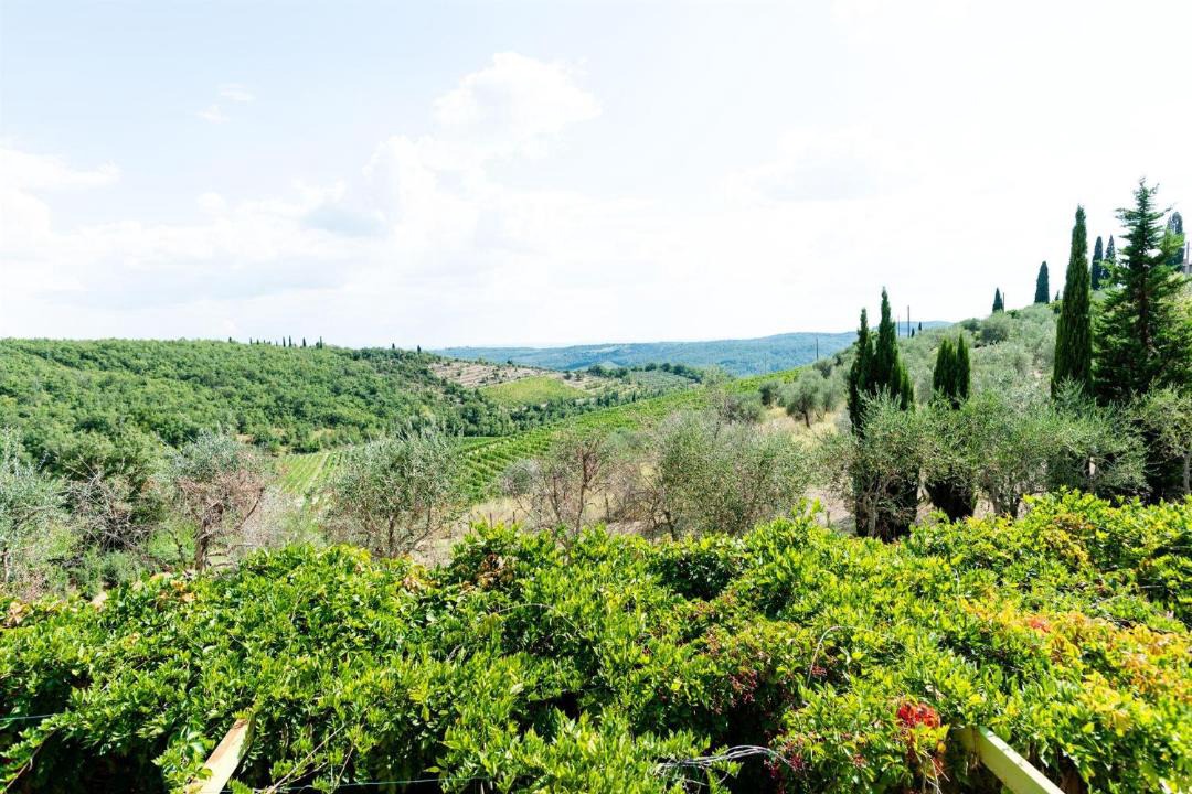 Photo of Others in Gaiole in Chianti