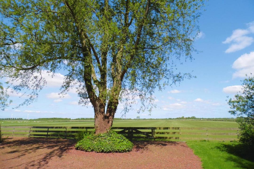 Photo of Outdoor in Twisk