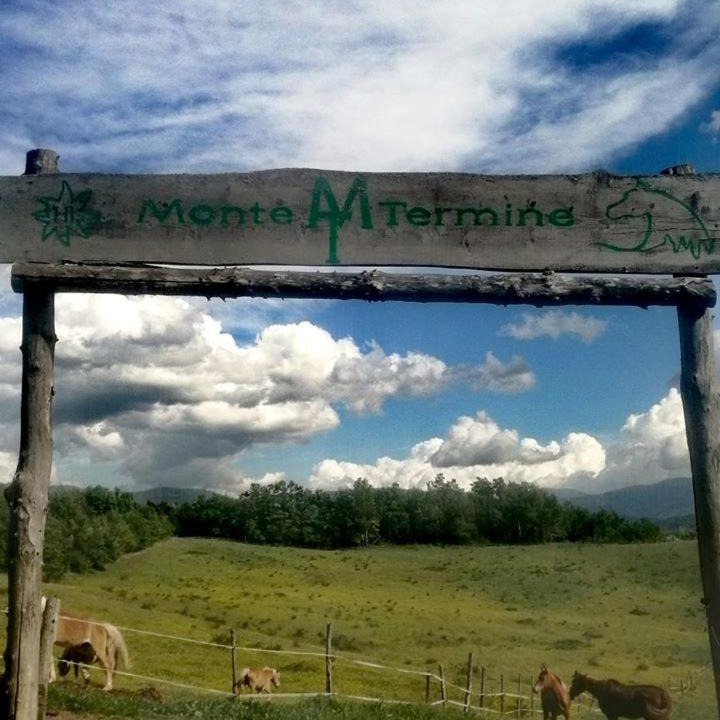Photo of Others in Marzabotto