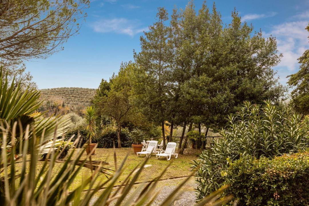 Photo of Outdoor in Palaia